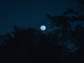 A noite