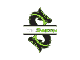 TEAN SYNERGY