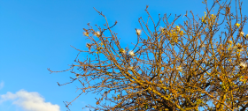 IMG_20250627_064430