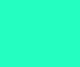 155904889780344