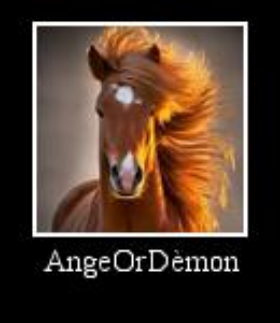 Cavalo