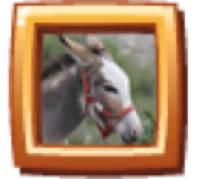 b3