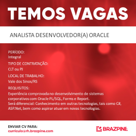 vaga desenvolvedor oracle