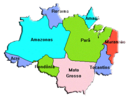 AMAZÔNIA 