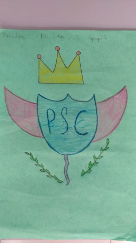 PSC BRASÃO 13
