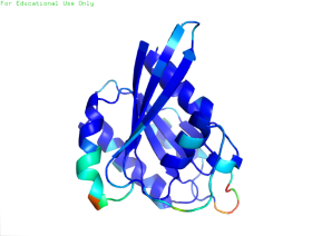 bfac_250