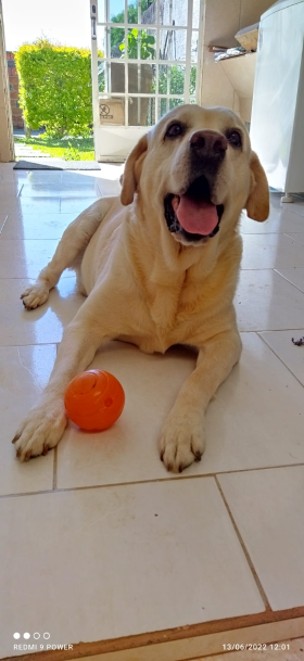 16º Charlie