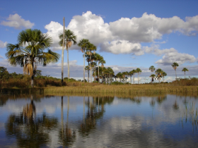 *Reserva de Desenvolvimento Sustentável Veredas do Acari* (Cidades: Chapada Gaúcha e Formoso) – Focada na preservação das veredas e do bioma cerrado, a área promove o uso sustentável dos recursos naturais pelas comunidades locais, sendo fundamental para a conservação de águas subterrâneas