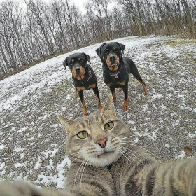 1000061072