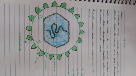 virus5