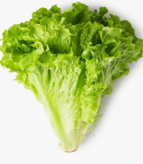 Alface