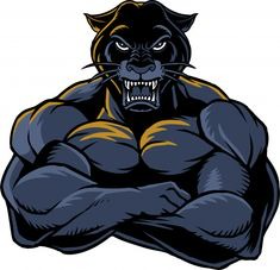 PANTERA