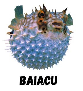 BAIACU