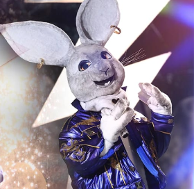 Coelho 🐰
