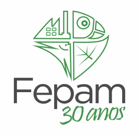 fepam2020(2)
