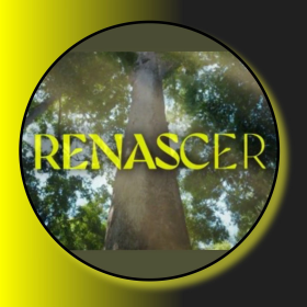 3 - RENASCER