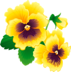FLORAMARELA