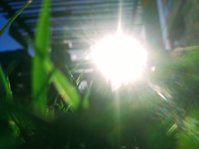 IMG-20230602-WA0015