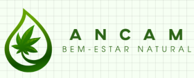 Captura de tela 2025-02-21 090751