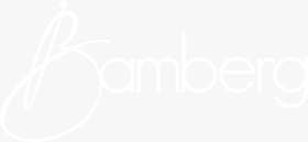 LOGO NOVA BAMBERG