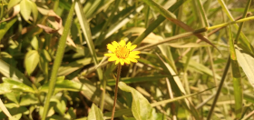 IMG-20210503-WA0009
