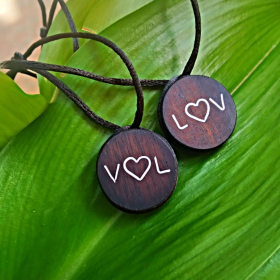 veh_oficial