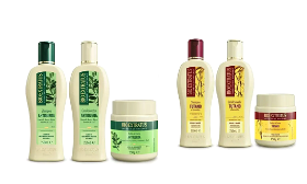 kit bio