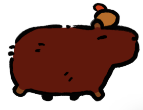 Capy bara