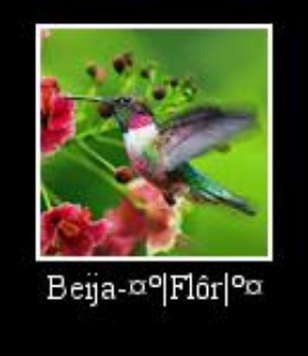Beija-flor