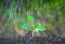 chuva