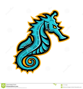 Cavalo Marinho ?