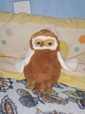 Coruja 