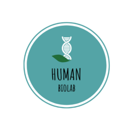 Logo 6
