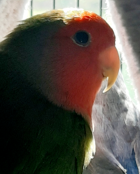 20220409_100815