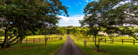 7-setembro-hotel-fazenda-jacauna-brota