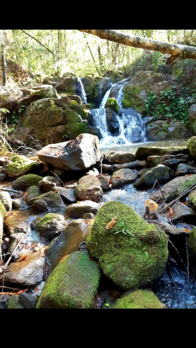 IMG-20230913-WA0031