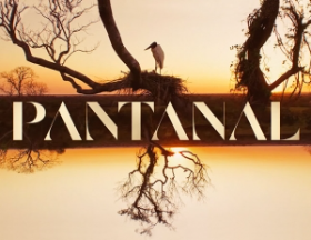 PANTANAL