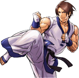 HERO - DOJO TAEKWONDO