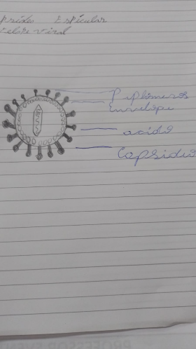 virus13