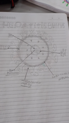 virus1