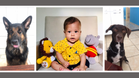 Zheus, Rafa e Tody_Juninho