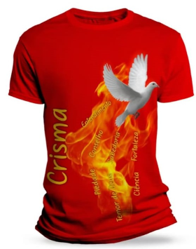 camisa 06