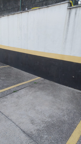 preto e amarelo