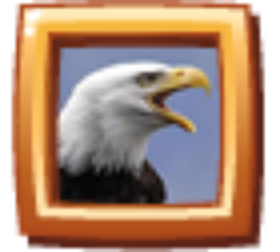 b2