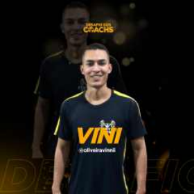 Vini