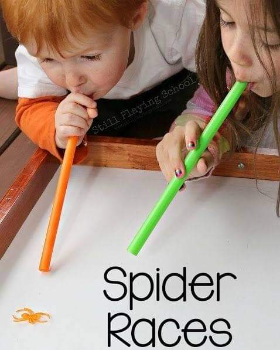 CORRIDA DA ARANHA - EDUC