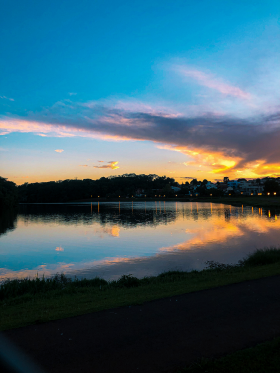 ENTARDECER NO BOSQUE