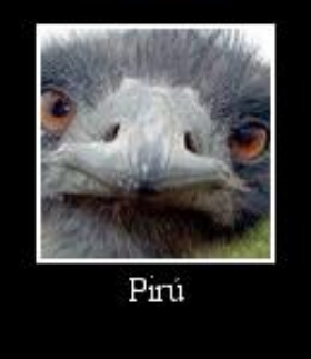 Pirússauro