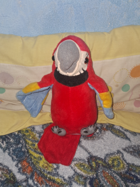 Mc arara 
