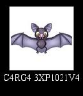 Morcego